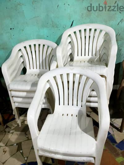 زهراء مدينه نصر