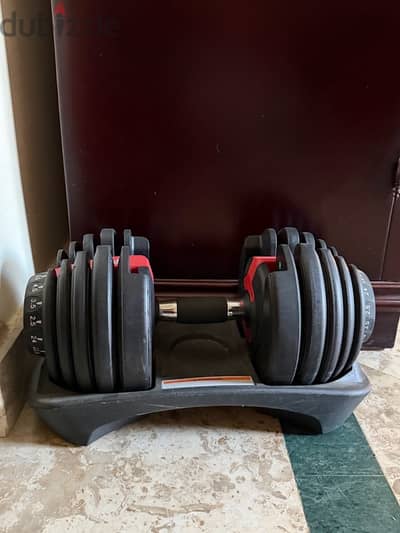 dumbbell Set