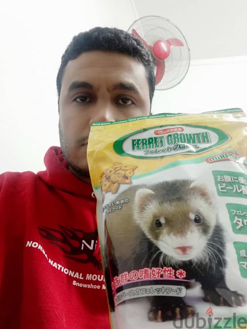 ferret 3