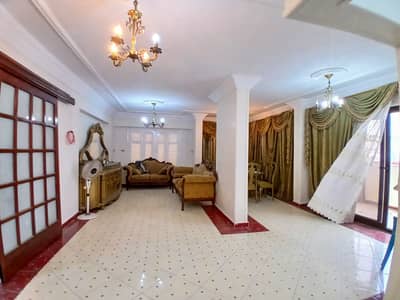 شقه للبيع 240م - ميامى - جمال عبدالناصر رئسيى
