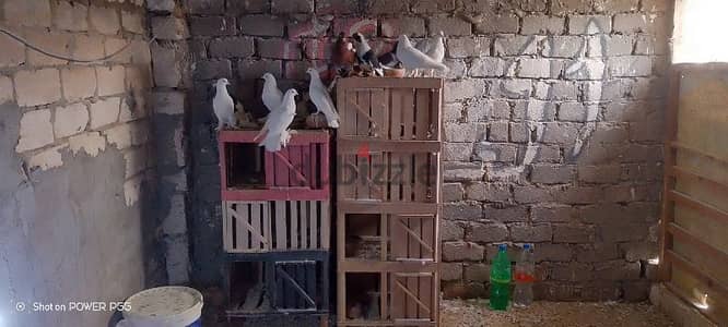 مجموعه حمام للبيع