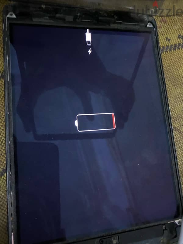 iPad mini محتاج باغه 2