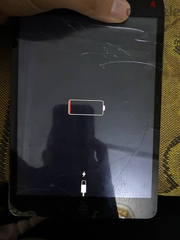 iPad mini محتاج باغه 3