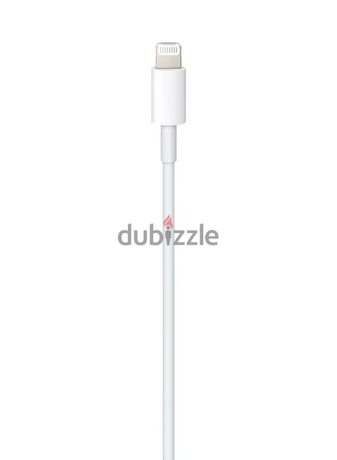 Apple Earpods 1