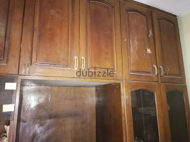 الزيتون 9