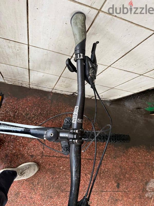 orbea bike 5
