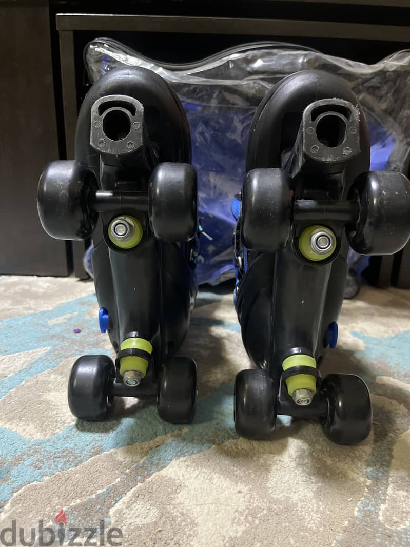 Skate 1