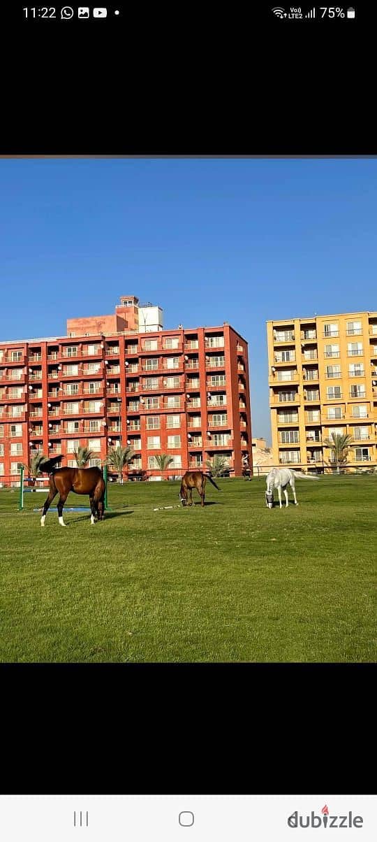 شاليه بغرفة نوم واحدة في جولف بورتو مارينا، صورة ٨ من ١٠