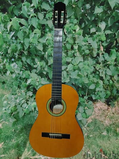 classic guitar