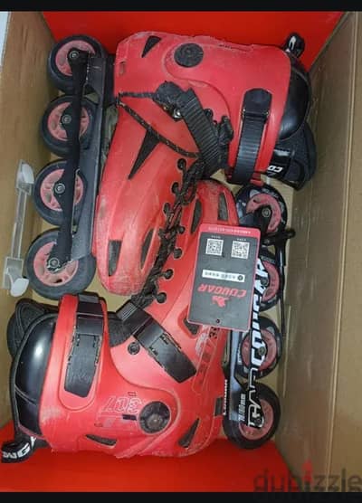 cougar 307