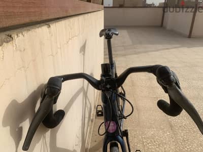 Trek domane Dt Swiss