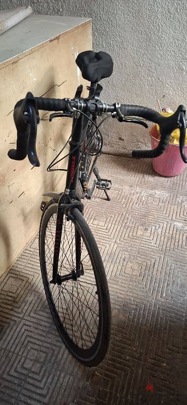 trinx tempo 1.4 2025