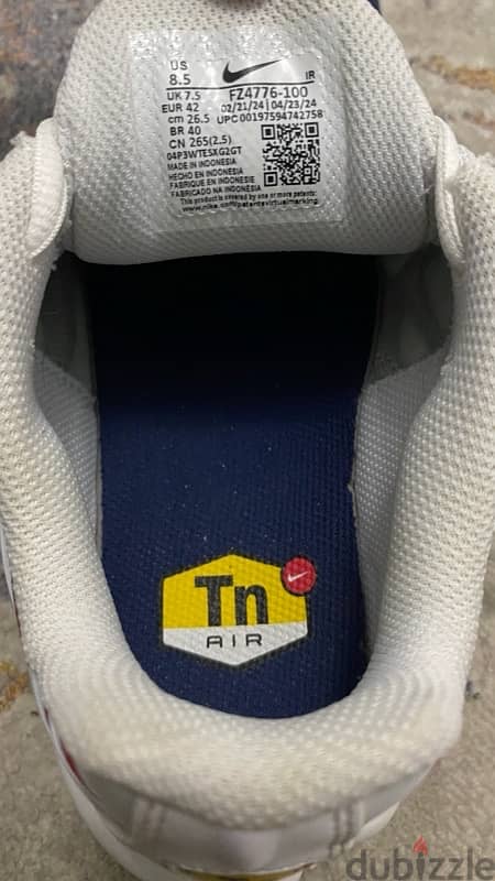 Nike Air Max Plus 6