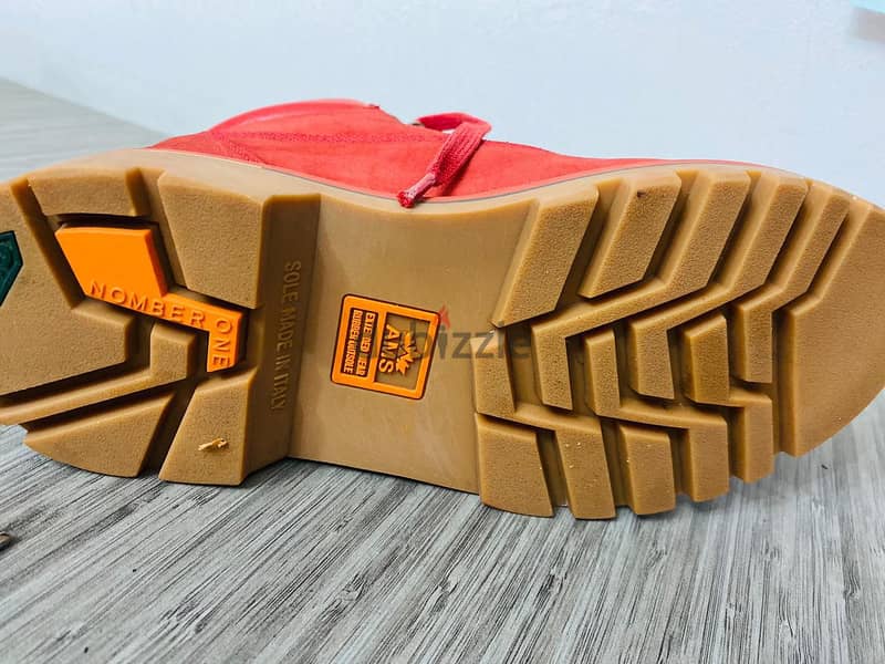 AMS Shoe 2