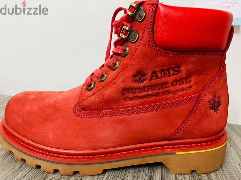 AMS Shoe 3