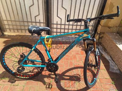 pheonix bicycle 26" wheel size 19.5 frame size