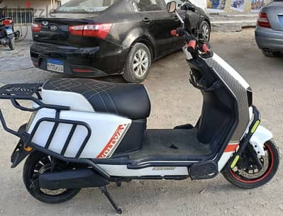 Scoter