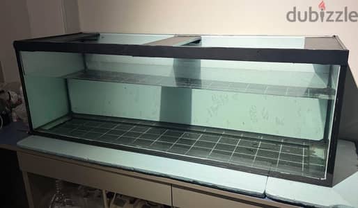 حوض سمك aquarium fish tank