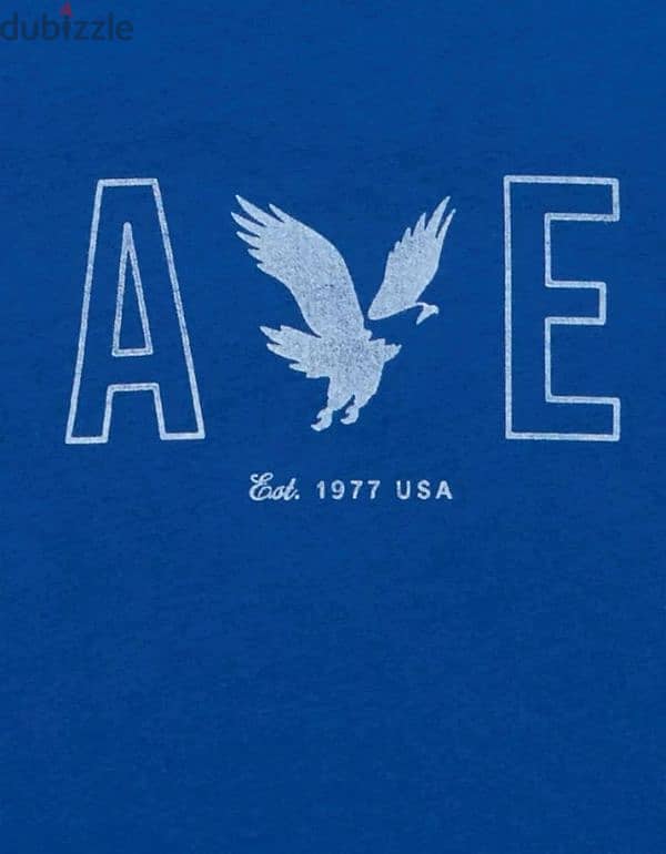 American Eagle Tshirt 2