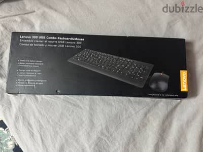 Lenovo 300 USB Wired Combo Arabic 253 / GX30M39607