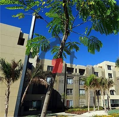 Apartment for Sale in Palm Parks  6th of Octobe