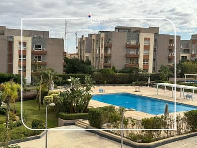 A fully furnished lux apartment for rent in Sheikh Zayed - pool View