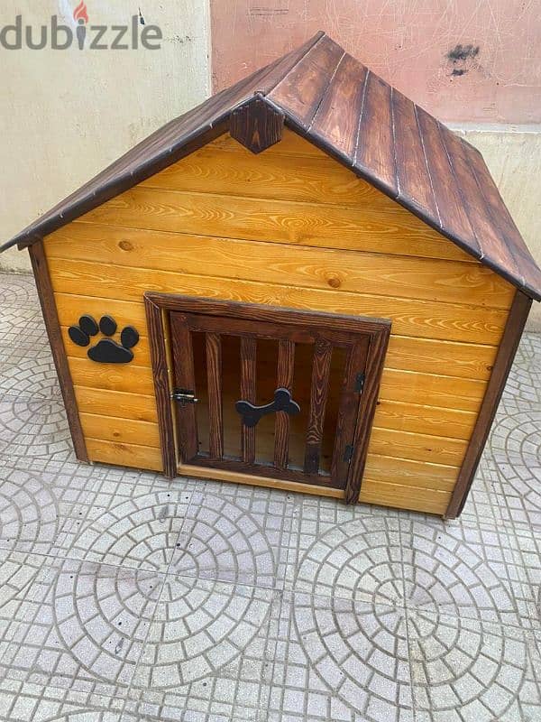 doge house 9