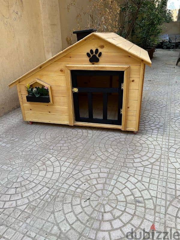 doge house 10