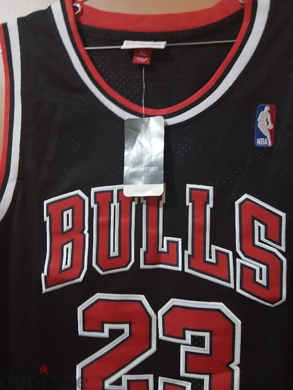 nba chicago bulls 2