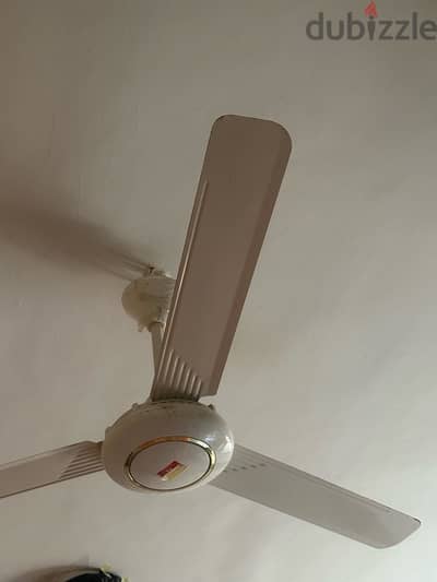 ceiling fan
