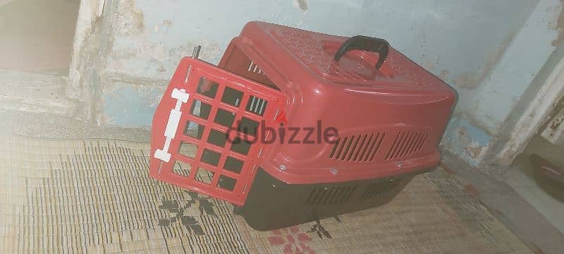 بوكس قطط 1