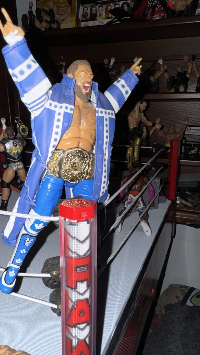 Wwe figures 3