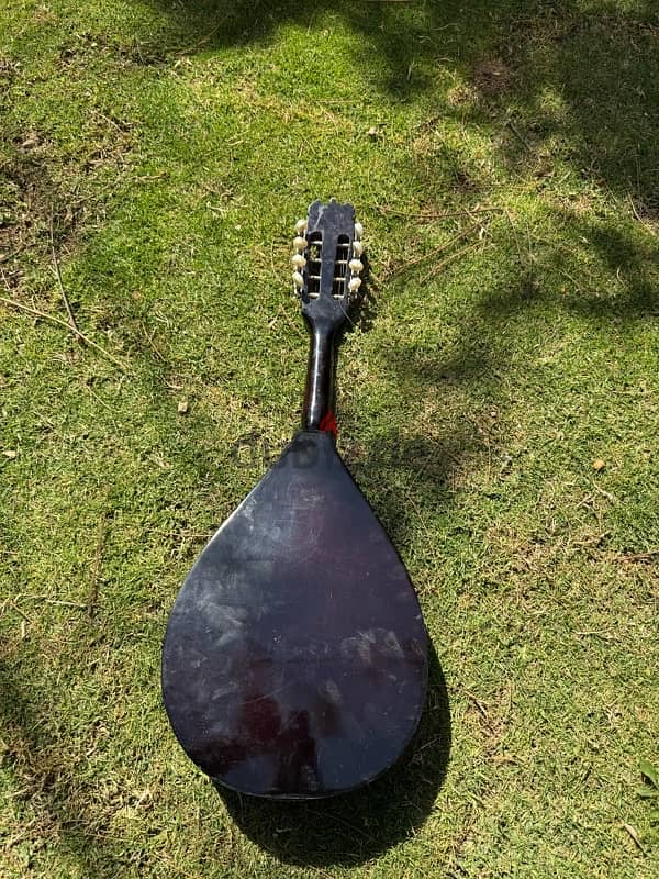 mandolin 2