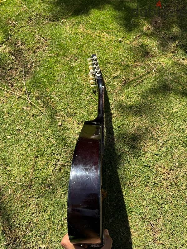 mandolin 1