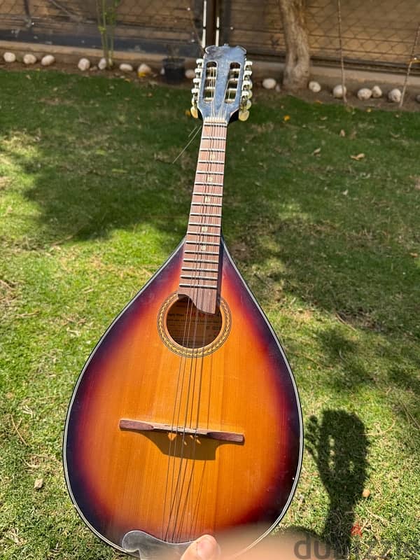 mandolin 3