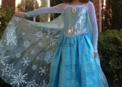 Disney frozen costume with accessories