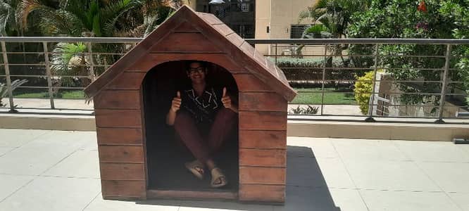 big dog house