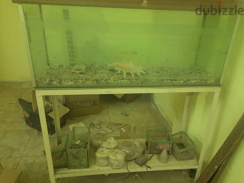 حوض سمك 2