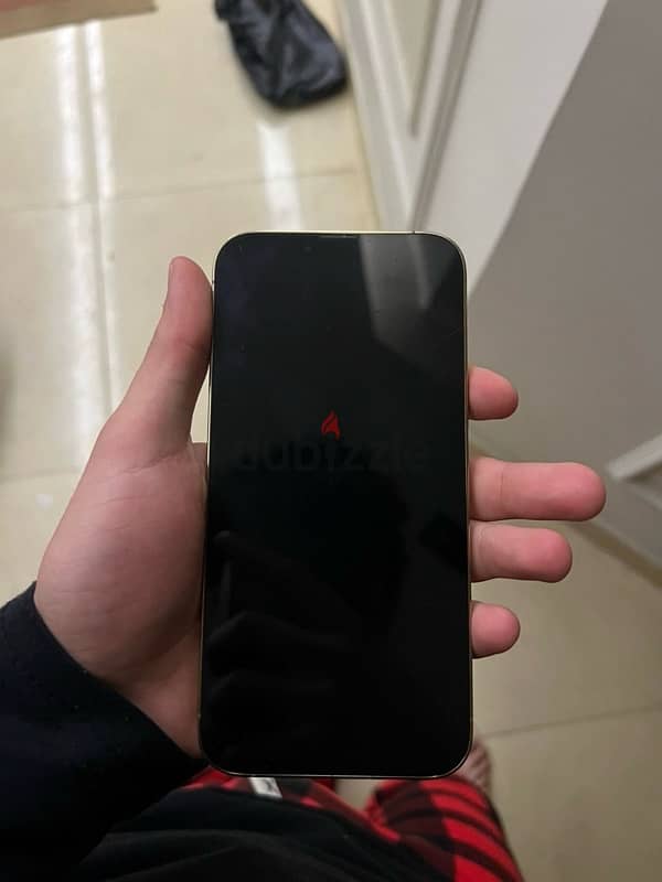 iPhone 13 pro max 1