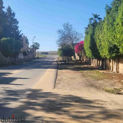 افضل مواقع بكنيج مرويط 150 من الطريق