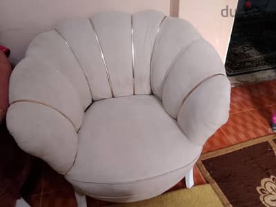 اسكندريه منطقة كبري الناموس