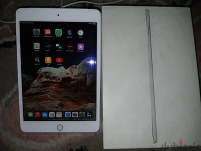 ipad 4 mini