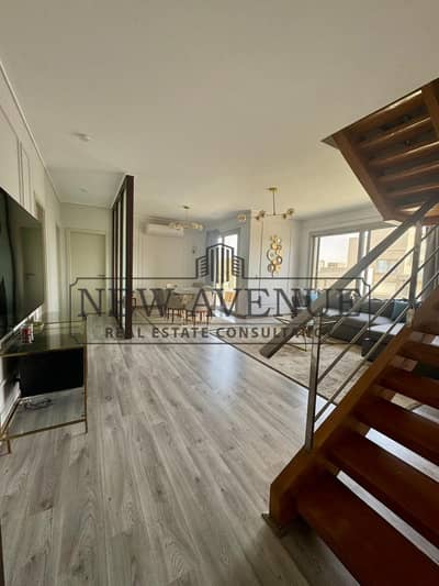 بنتهاوس رووف للايجار مفروش  بالكامل بمطبخ وتكيفات ف فيلدج جيت موقع مميز Village Gate New Cario