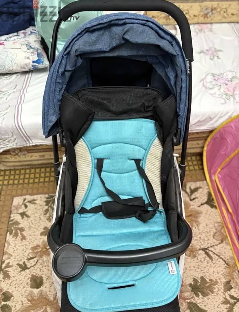 Seebaby 2