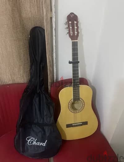 Guitar