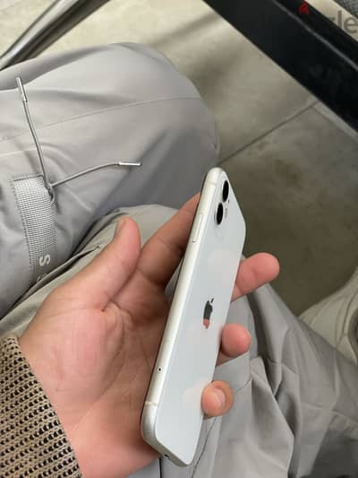 طوخ بنها القليوبيه