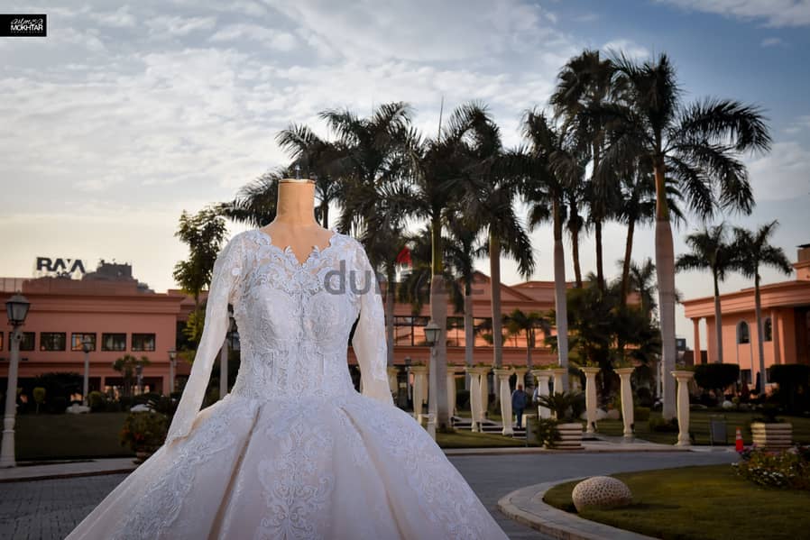 Luxurious Wedding Dress 1