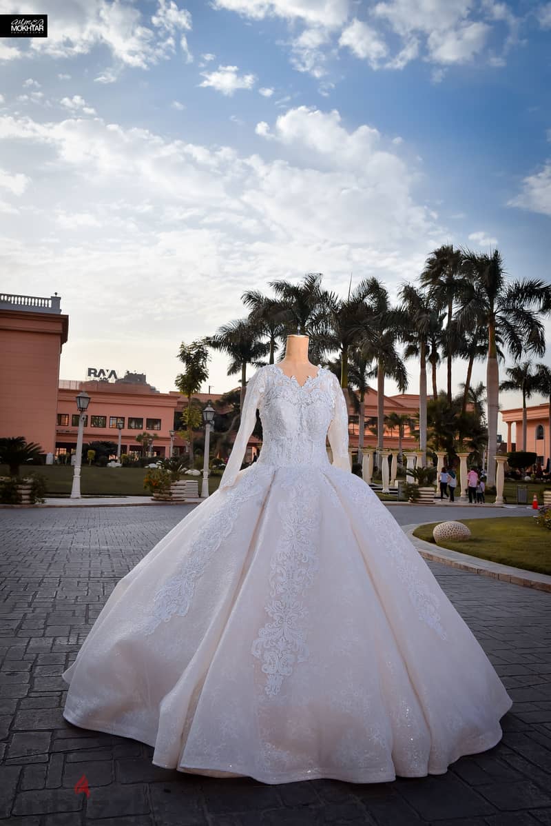 Luxurious Wedding Dress 2