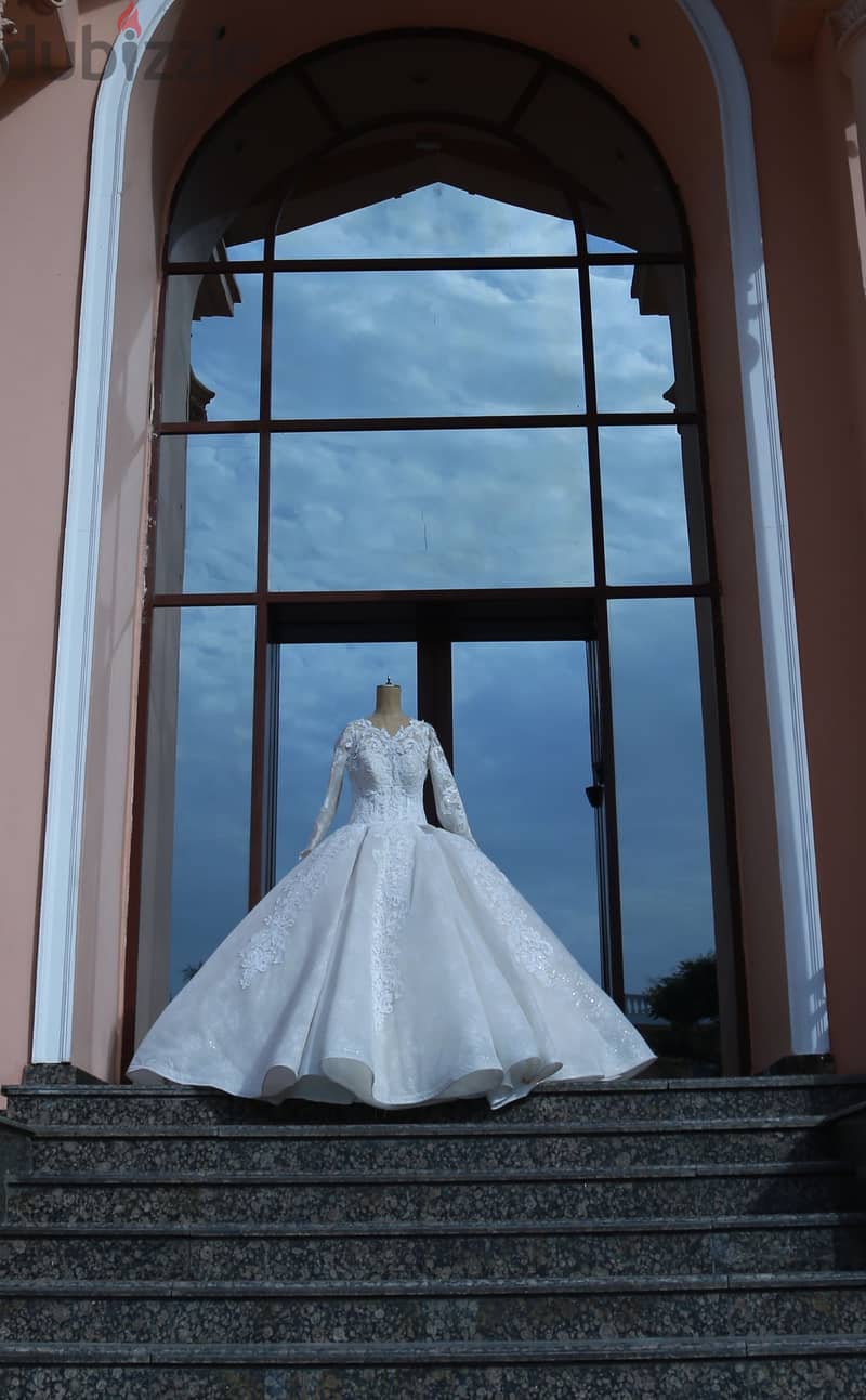 Luxurious Wedding Dress 3