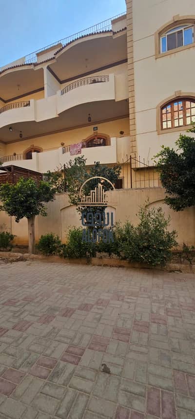 New Cairo